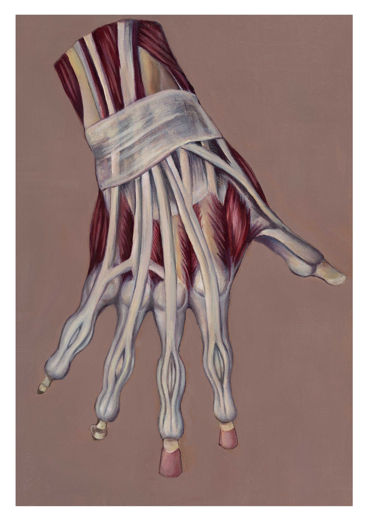 Anatomical Hand