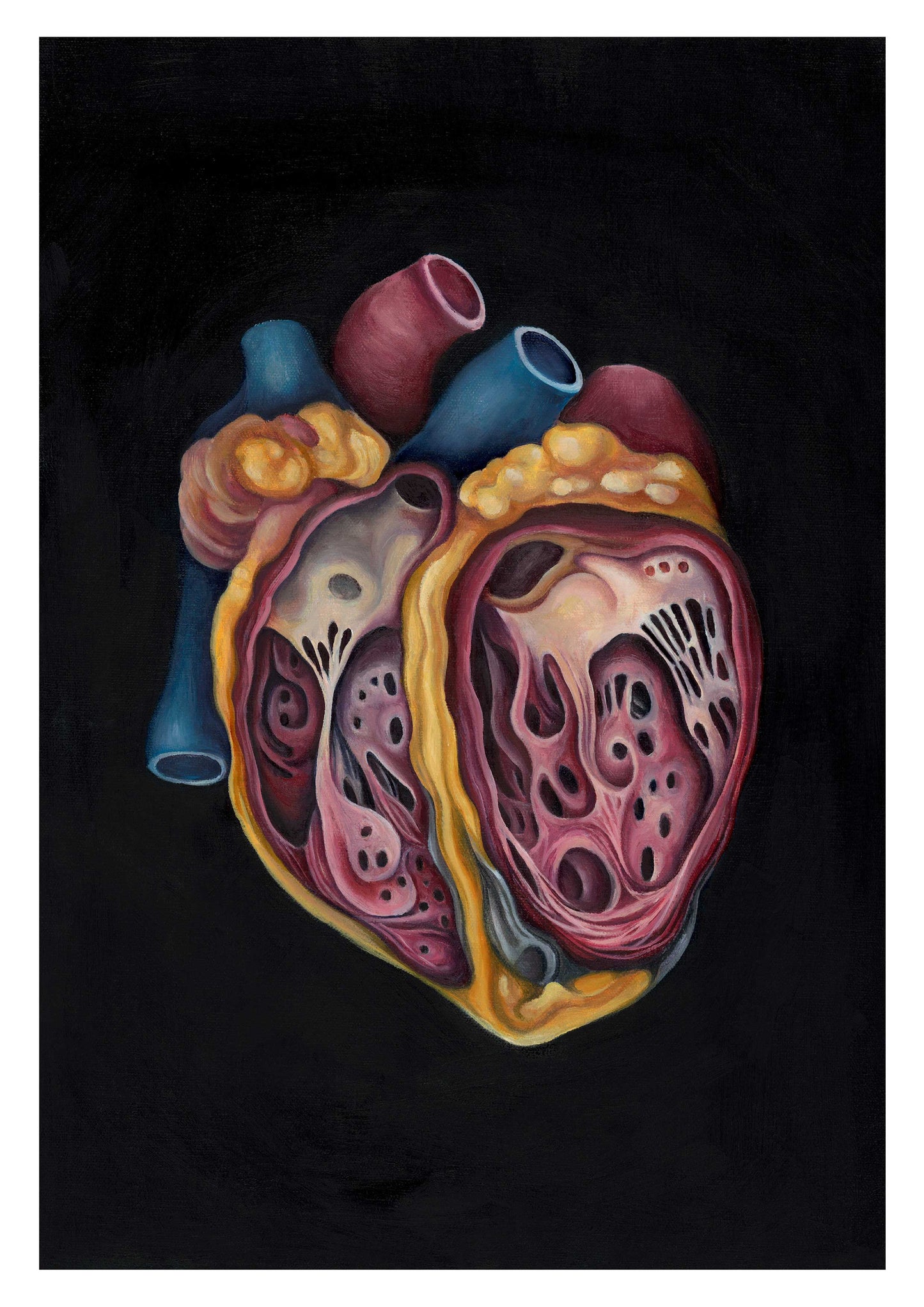Anatomical Heart