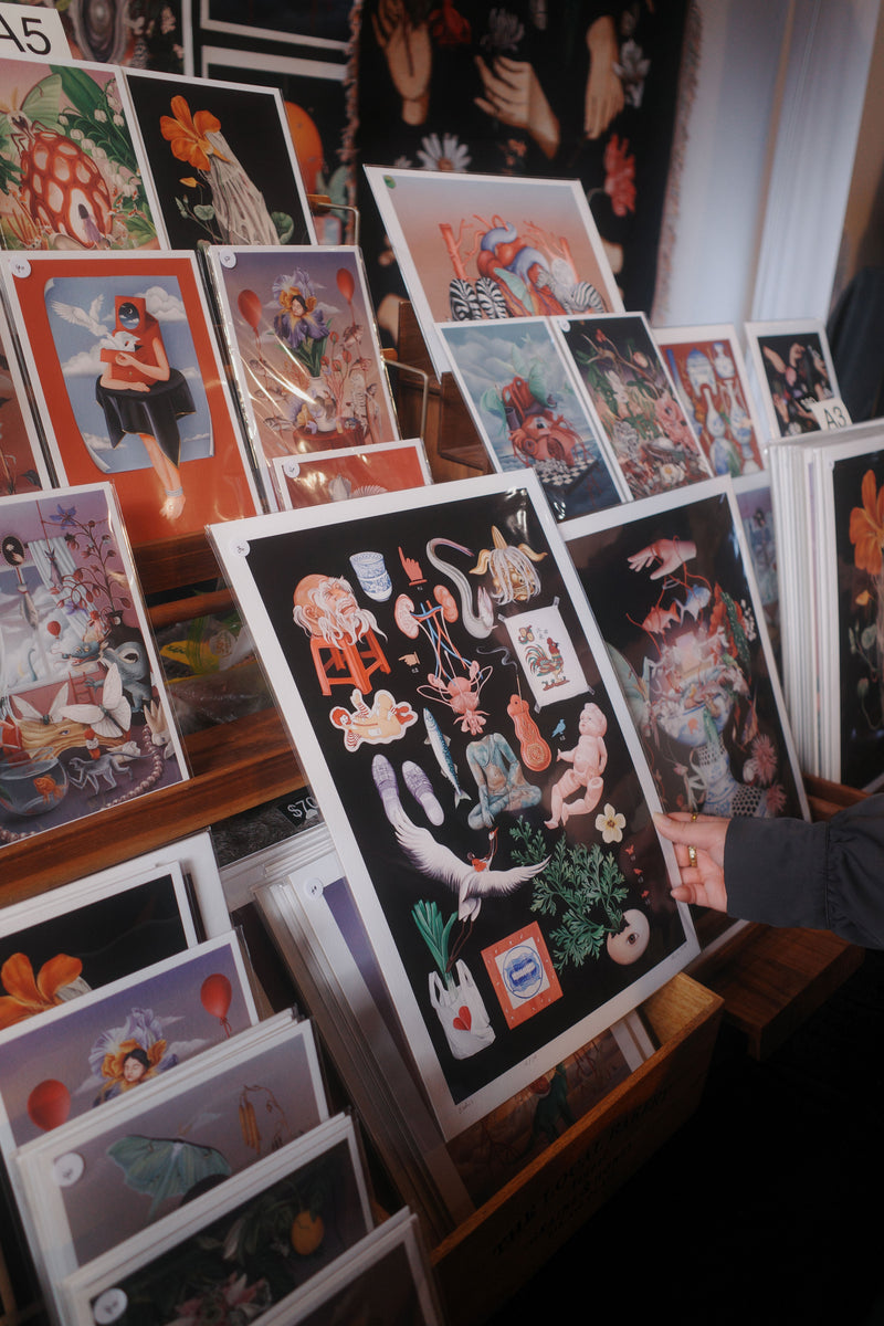 Up Coming Events 2026