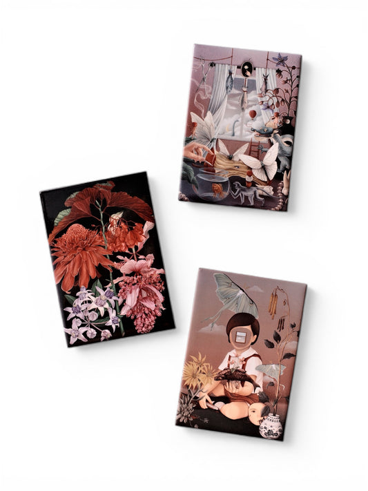 Fantastic Magnets Set