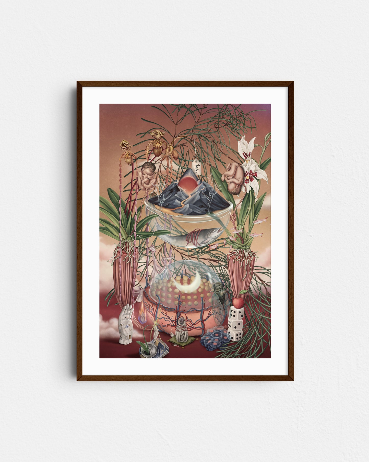 Universe 404 (Limited40/40)