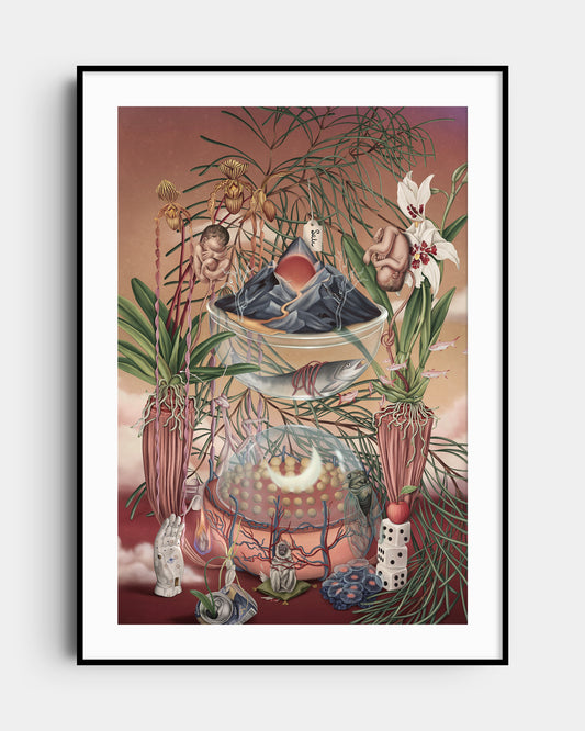 Universe 404 (Limited40/40)