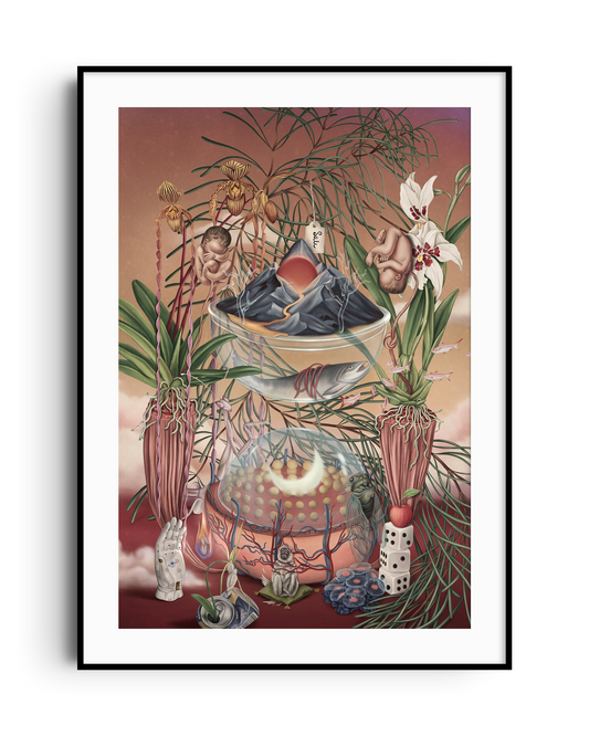 Universe 404 (Limited40/40)