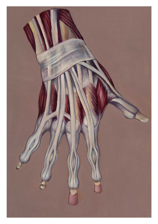 Anatomical Hand