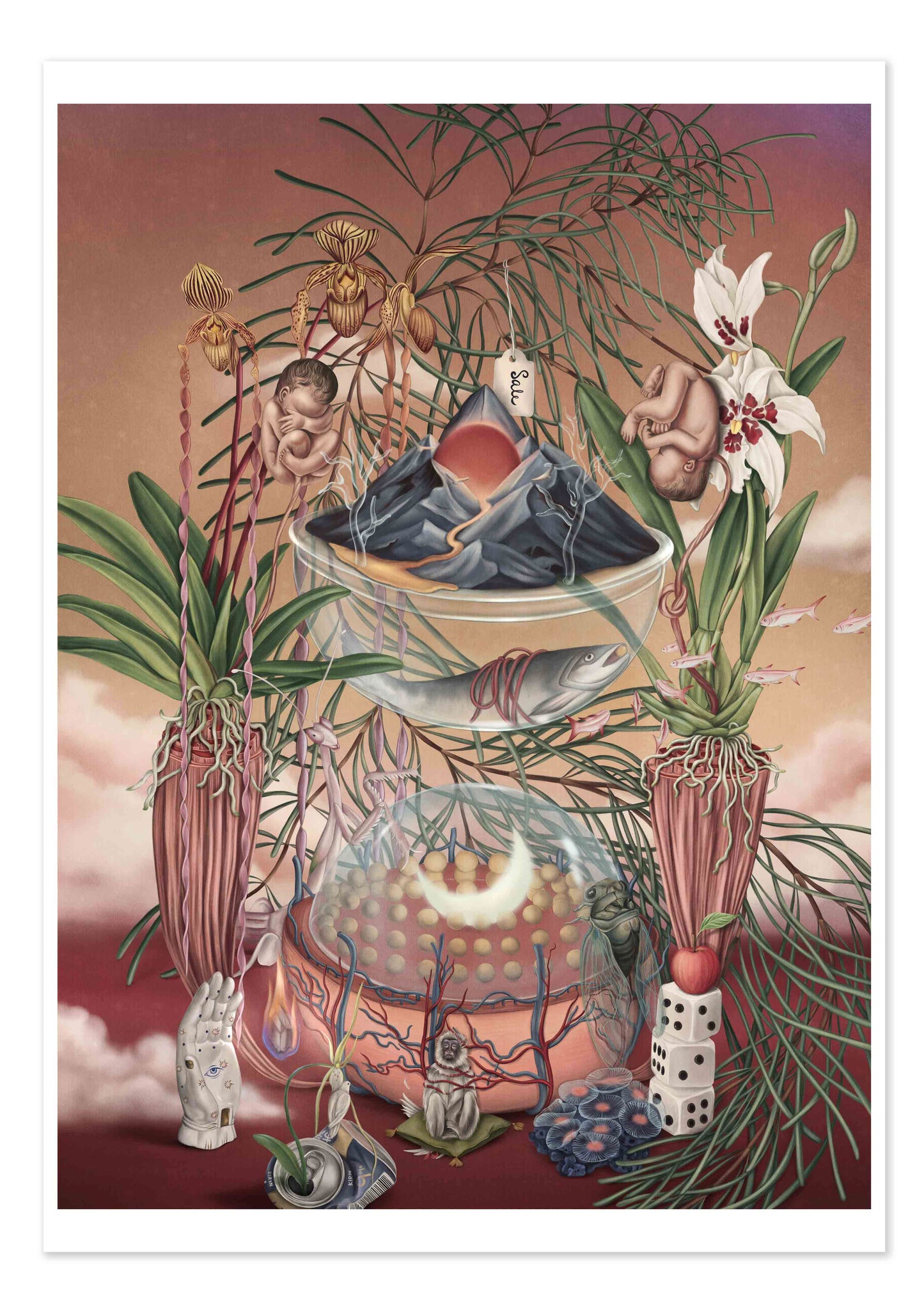 Universe 404 (Limited40/40)